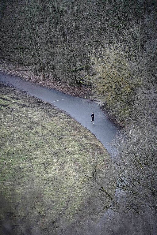 Berlin New Year's Eve run: Aerial view of a runner in the middle of forest and nature on Teufelsberg @ SCC EVENTS / Sportograf