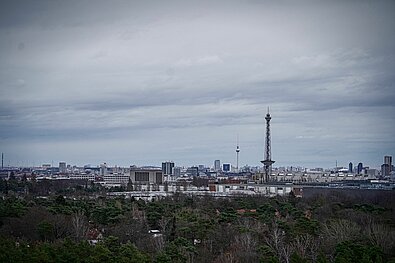 Berlin New Year's Eve Run: View of Berlin from the Drachenfliegerberg @ SCC EVENTS / Sportograf